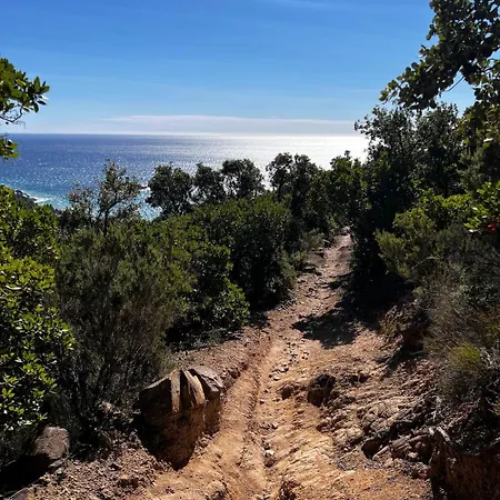 Traumhafte Mit Einzigartigen Meerblick